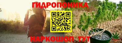 прущие крисы Кимры