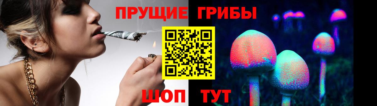 Галлюциногенные грибы мицелий Ялта
